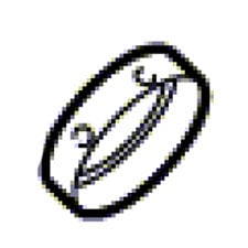 2600290025