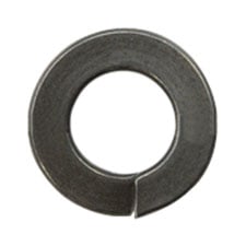 S000271