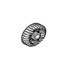 241891-2